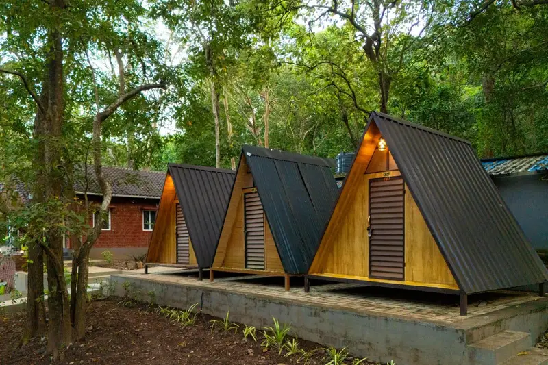 Tent Stay at Rain Forest Dandeli
