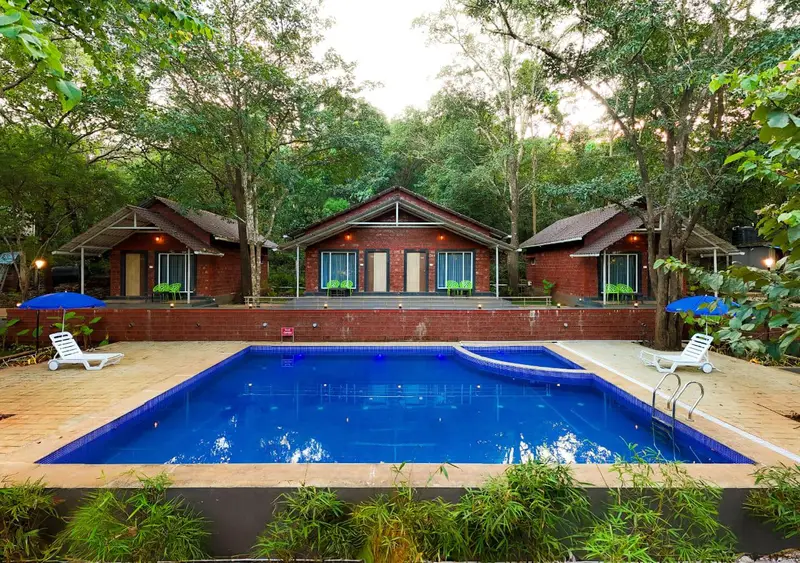 Rain Forest Dandeli