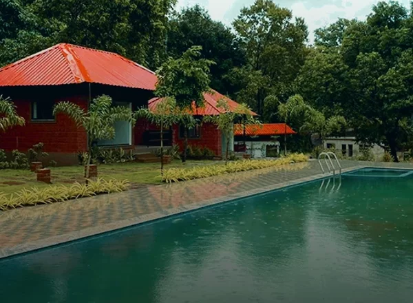 Jungle View Pool Resort